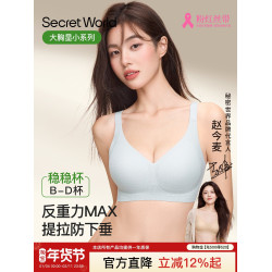 SecretWorld大胸顯小內衣女夏季薄款提拉防下垂收副乳無痕文胸罩