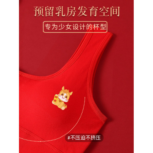 少女發育期內衣女初中學生大童二三階段固定杯本命年大紅內衣套裝