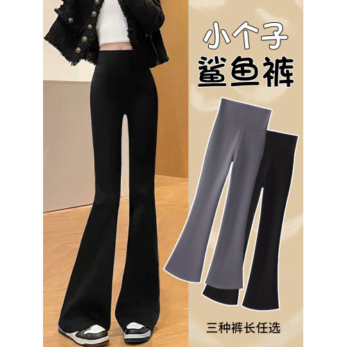 小個子微喇鯊魚褲女外穿2025新款春秋薄款高腰瑜珈打底喇叭褲加絨