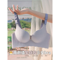 無痕內衣女一片式無鋼圈調整型文胸小胸顯大聚攏收副乳防下垂胸罩