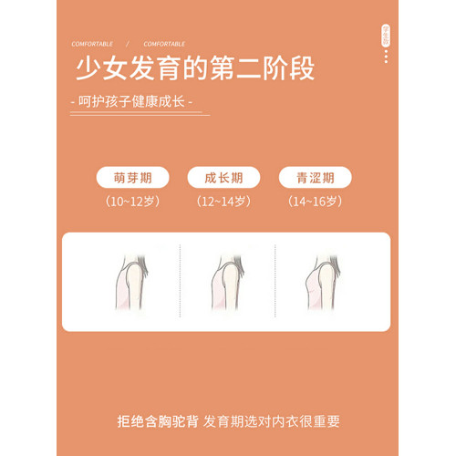 貓人少女內衣二階段成長期發育期女學生文胸無痕親膚透氣少女文胸