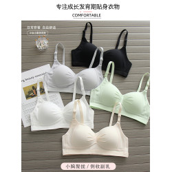 青春少女內衣女秋冬季學生初中生高中生發育期小胸聚攏防下垂文胸