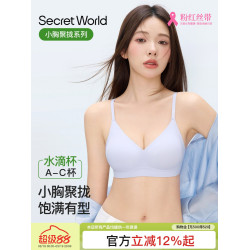 secretworld無痕內衣女小胸聚攏胸罩無鋼圈防下垂收副乳文胸