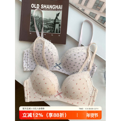 法式小碎花蕾絲內衣女小胸聚攏薄款透氣無鋼圈防下垂收副乳文胸罩