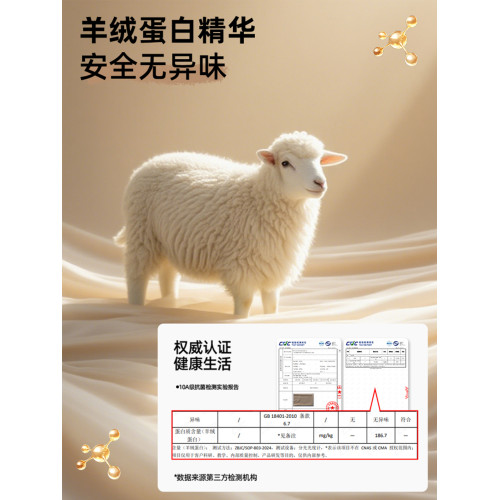 貓人少女內衣粉底液隱形學生青少年發育期二階段背心女童運動文胸