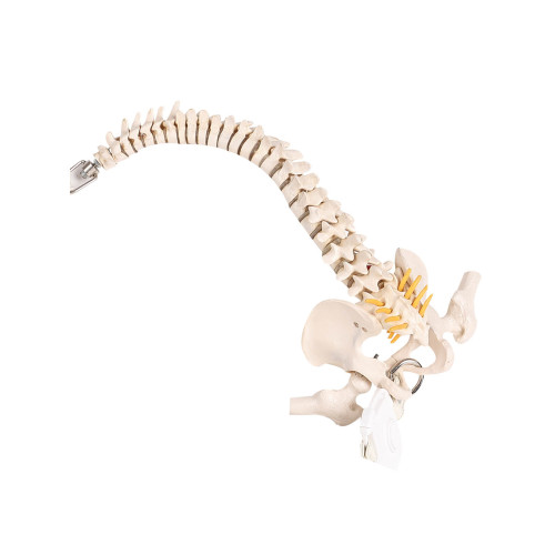 Embryo 樹脂仿真骨頭包 長毛真皮手提 單肩包 原創設計 2023