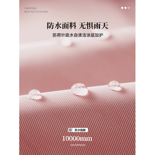 短途旅行包輕便女手提大容量收納包運動遊泳健身可套拉桿箱行李袋