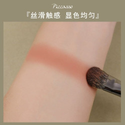 畢加索松鼠毛眼影刷201斜角鼻影刷205大號207中號208暈染化妝刷