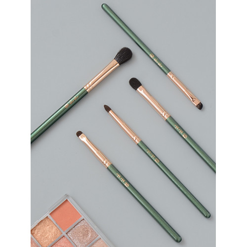 shoushoulang/受受狼RM眼部5支套刷初學者新手化妝工具