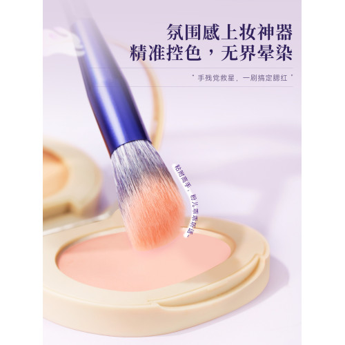 LADES/藍蒂絲10支紫兔化妝刷套裝眼影刷遮瑕刷腮紅刷鼻影刷修容刷 LADES/藍蒂絲10支紫兔化妝刷套裝眼影刷遮瑕刷腮紅刷鼻影刷修容刷