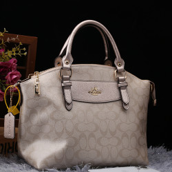 路易米希爾專櫃正品真皮女包2025新款時尚牛皮時尚百搭手提托特包