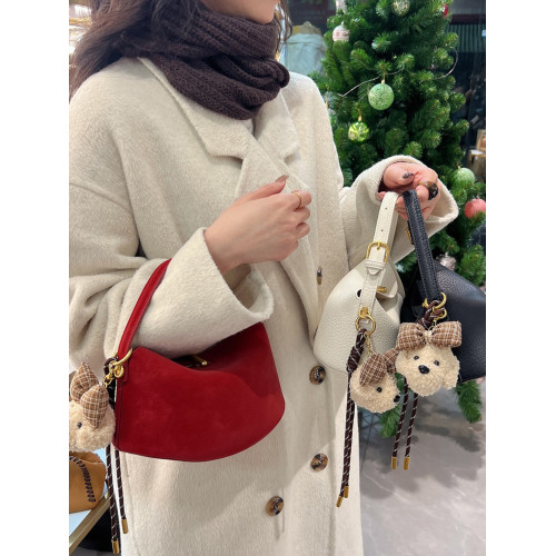 小衆設計紅色包包女2026新款高級感百搭手提斜後後背包上班通勤小拎包 小衆設計紅色包包女2026新款高級感百搭手提斜後後背包上班通勤小拎包