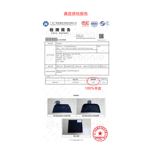 Shevennie2025 小衆設計小號羊皮手提斜垮雲朵包小包牛角包三角包 Shevennie2025 小衆設計小號羊皮手提斜垮雲朵包小包牛角包三角包