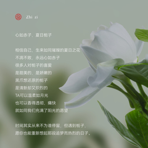 黑爪「梔子花」香水女士持久淡香乾淨少女感清新國風淡雅伴手禮