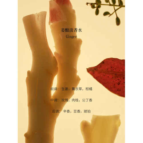 述之有味「野徑系列」薑釀香水原創小衆東方美食調檸檬肉豆蔻香水