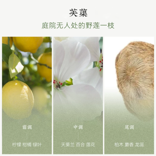 黑爪「芙蕖」香水蓮花香味荷花中性持久淡香男女士清新國風伴手禮