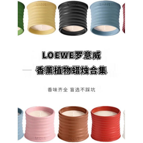 羅意*黃瓜金銀花柏樹番茄葉常青藤杜松子香薰蠟燭小樣試香