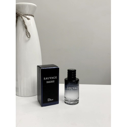 出門隨身帶大牌香水曠野男士香水Q版淡香精典藏香精清新木香男用