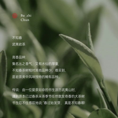 黑爪「不知春」茶香香水中性巖茶味持久畱香醇厚甘苦男女士送小樣