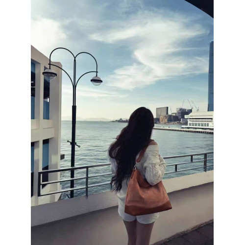 網紅同款麂皮絨印花hobo流浪包復古大容量通勤托特包單肩腋下包女