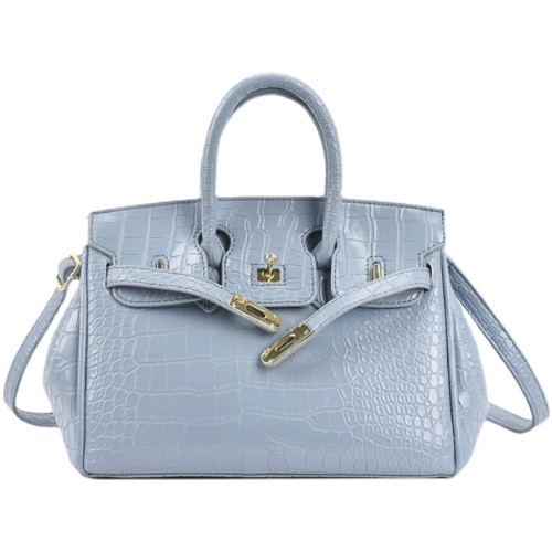 法國小衆包包女式2025超火爆款洋氣單肩斜後後背包高級質感手提鉑金包