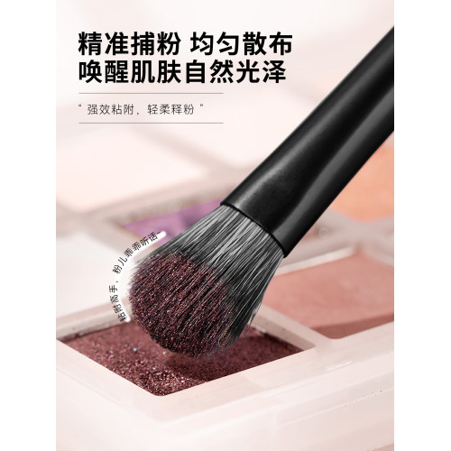 LADES/藍蒂絲10支夜影化妝套刷點彩修容刷眼影鋪色刷專業化妝套刷 LADES/藍蒂絲10支夜影化妝套刷點彩修容刷眼影鋪色刷專業化妝套刷