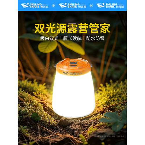 戶外露營燈長續航充電雙光源應急家用小型可攜式帳篷野營營地氛圍燈