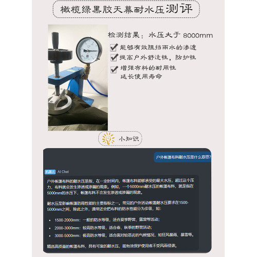 19掛點多功能天幕戶外露營沙灘超大超輕塗銀防曬紫外線帳篷