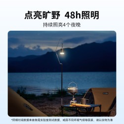 FLEXTAIL魚尾充氣泵戶外露營床墊可攜式電動抽充兩用迷你打氣泵輕量