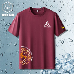 法萊爾公雞冰絲短袖t恤男夏季涼感運動速乾寬鬆跑步健身上衣體恤