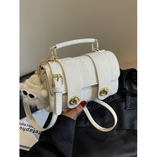 波士頓小包包女士百搭2024新款單肩斜後後背包今年流行爆款手提枕頭包