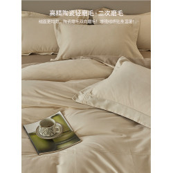 高級感100pro長絨棉磨毛床單四件套純棉全棉2025新款被套床上用品