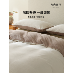 向內穿行A類牛奶絨輕奢四件套加厚保暖床單被套冬季加絨床上床品