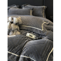 2025新款加厚保暖冬季牛奶絨四件套毛絨被套加絨床單珊瑚絨法蘭絨