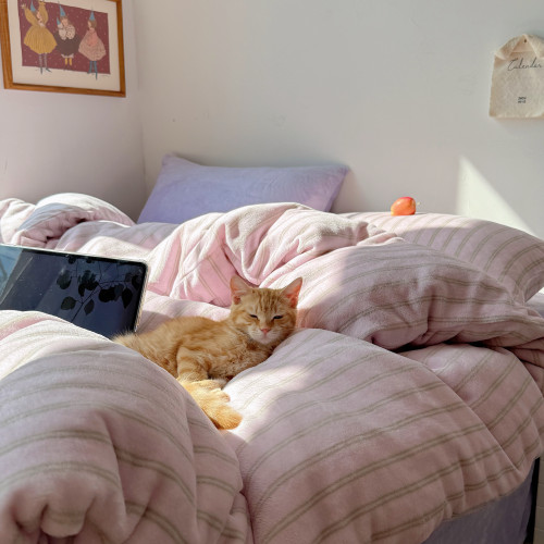 【花臉貓】慵懶海灣！秋冬博主風條紋牛奶絨親膚柔軟小清新四件套