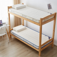 乳膠床墊軟墊家用臥室海綿墊被學生宿捨單人床褥子租房專用榻榻米