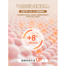 冬季輕奢高級感牛奶絨床上四件套雙面加絨被套加厚珊瑚法蘭絨床單