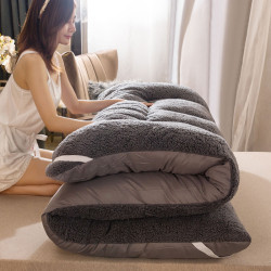 加厚羊羔絨床墊軟墊冬季學生宿捨單人雙人榻榻米海綿墊子墊被褥子