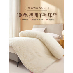 羊毛床墊軟墊家用床褥墊冬季羊羔絨毛毯冬天加厚保暖墊被褥子鋪底