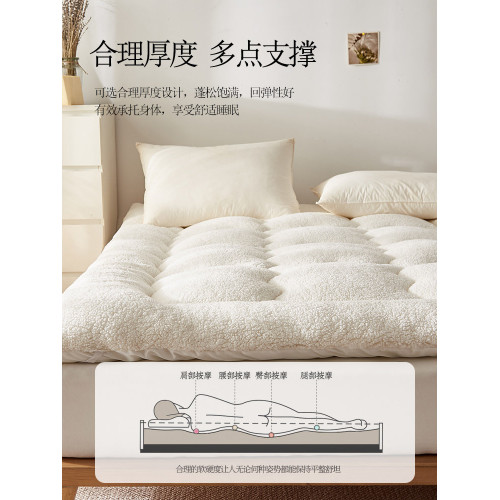 羊羔絨床墊軟墊子家用冬季加厚學生單人宿捨牛奶絨鋪底床褥子墊被