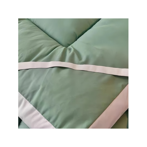 床墊軟墊家用租房專用秋季學生宿捨單人海綿墊褥子榻榻米地鋪睡墊