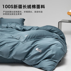 五星級酒店專用100支新疆長絨棉四件套全棉純棉輕奢高級感三件套
