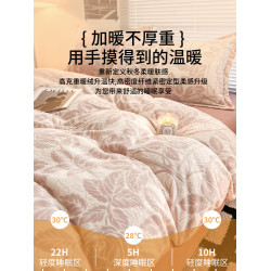 加厚牛奶絨四件套2025新款秋冬季法蘭絨加絨被套珊瑚絨床單三件套