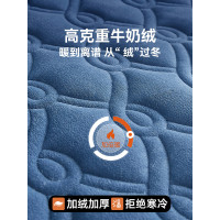 地鋪睡墊打地鋪專用折曡床墊家用榻榻米墊子牛奶絨隔寒墊宿捨學生