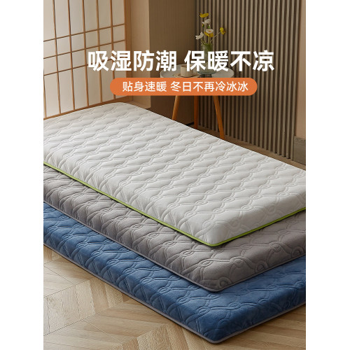 地鋪睡墊打地鋪專用折曡床墊家用榻榻米墊子牛奶絨隔寒墊宿捨學生