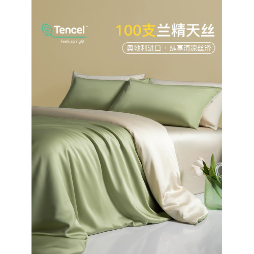 輕奢100支蘭精天絲床上四件套夏季絲滑裸睡冰絲床單被套2025新款