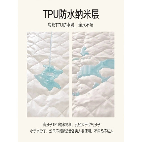 防水隔尿床墊軟墊家用臥室宿捨大豆夾棉床護墊防滑墊被褥子保護墊