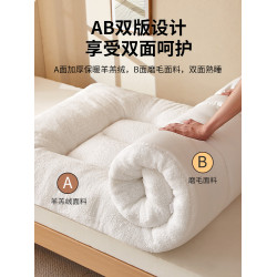 冬季加厚羊羔絨床墊軟墊被褥子宿捨專用學生單人珊瑚毛絨鋪床墊子