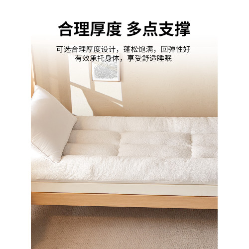 冬季加厚羊羔絨床墊軟墊被褥子宿捨專用學生單人珊瑚毛絨鋪床墊子