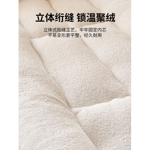 冬季加厚羊羔絨床墊軟墊被褥子宿捨專用學生單人珊瑚毛絨鋪床墊子